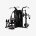 HARISON DISCOVER G1060  Multifunctional Trainer