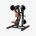 DISCOVER G1207 Back Extension Low Row Machine